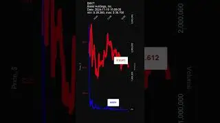 BKKT, Bakkt Holdings, Inc. stock prices on 2024-11-19 15:59:00-05:00