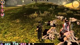 DA:O Nightmare (HD) - A Last Keepsake