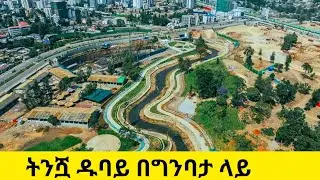 Africa's FUTURE City is Rising in Addis Ababa 🇪🇹 | Peackock Riverside Park Mega Project 4K