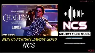 JAWAN : Chaleya || Arijit Singh , Shah Rukh Khan || NoCopyright Songs Hindi || NCSdc