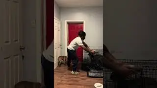 My morning routine 