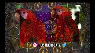 Free BEAT | Psychedelic Parrots | Rob1der Beatz | Rob1der Type Beat | Sample Beat