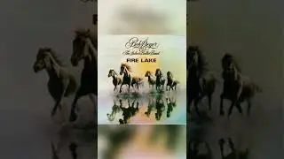 Coolvibes 101 Bob segar And The Silver Bullet Band #music #song #horse