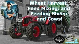 FS 23 - 335. Wheat Harvest, Feed Mixing, and Feeding Sheep and Cows!