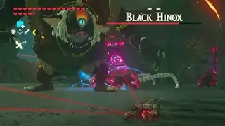 Breath of the Wild Hack (Wii U) | COLISEUM OF DEATH
