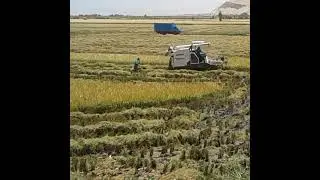 !viva la agricultura! #BillylopezBillylopez