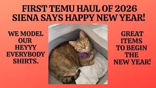 FIRST TEMU HAUL OF 2026/Siena Says HAPPY NEW YEAR/We Model Our Heyyy Everybody Shirts/New Items Too