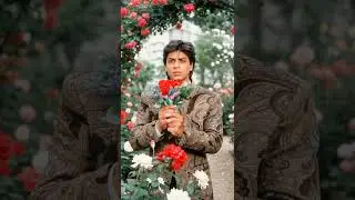 Shahrukh Khan - Says Dil to Paagal Hai
