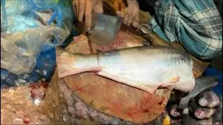 Live: Amazing Fish Cutting Skills! #fishcutting  #livestream  #amazingskills 