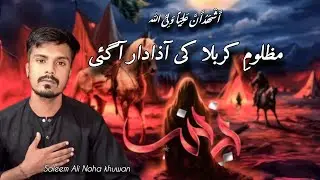 Mazloom e Karbala Ki Azadar Agae  | new noha 2025 | Saleem Ali Noha Khuwan