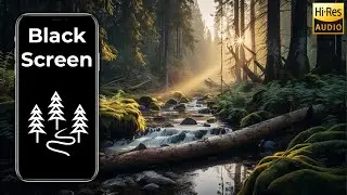 Dawn Chorus Gentle Stream | Natural Water and Bird Sounds | Nature Sounds for Studying 1 Hour