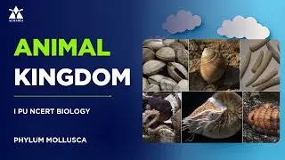 Phylum Mollusca Explained | Acharya Pre-University College | Animal Kingdom | PU NCERT Biology