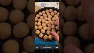 خليه نحل بدقيق البر