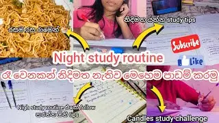 Night study routine 🌙 | මහ රෑ වෙනකන් ගැම්මෙන් පාඩම් කරමු 💪 | Late night study vlog  #studyvlog #vlog