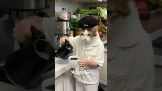 Max and Lisa #capcut #cat #katze #funny