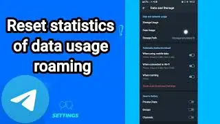 How to reset statistics of data usage roaming On Telegram