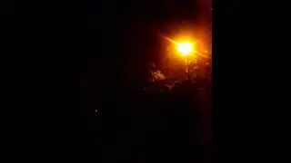 moja omiljena ojesma poziv od cvije