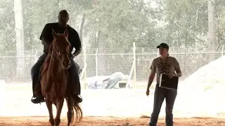 Horses and riders prepare for 2026 Mardi Gras season