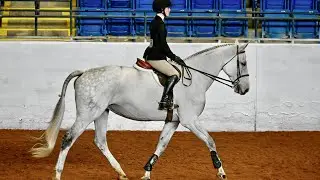Sabrina Forbes - 2023 Equitation on the Flat Compilation