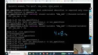 Visualize It - 4-3-1 - Output Specifiers and Pointer Basics