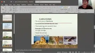 Types of Animals Based on Food