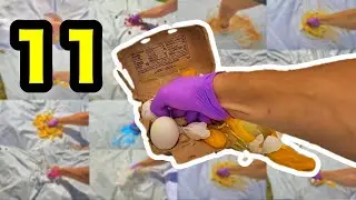 Smashing 11 Food Items with Brass Knuckles! (Food Compilation #1) 🤜🍔🍕🍜