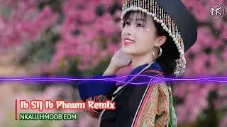 Ib Sij Ib Phaum Remix - Mana Xiong | TOP 3 Nkauj Hmoob EDM Remix Kho Siab
