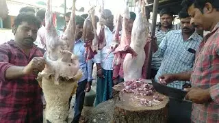 Mutton cutting center mutton shop  #mutton goat mutton meet #howtocut #allinone