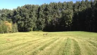 Tricopter V2.6HV Maiden - First time flying a multi rotor