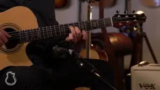 Buendia Modified Dreadnought 'The Tree' Mahogany demo