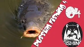 Russian Fishing 4 Kampfen Angeln am Spiegelsee RF4  Tips-Amstaff268 Zockt Deutsch