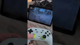 Assassin's Creed: Odyssey on Samsung Galaxy Tab S6 Lite via Stadia