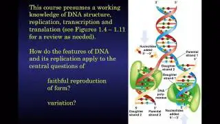 371 Lecture 1