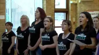 Invidia Voices on Mustard TV