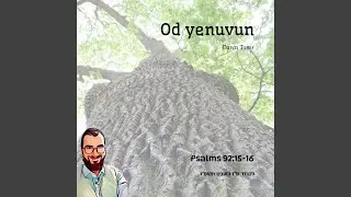 Od yenuvun