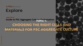 Guide to PSC Aggregate Culture Optimization