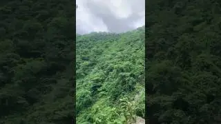 Wow 😮 Lamo Jarana video #waterfall #nature #greenery #Nepal 🇳🇵