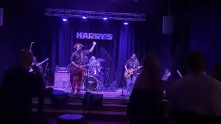 Follow the Buzzards