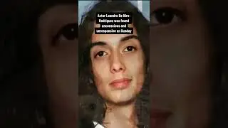 Actor Leandro De Niro-Rodriguez, Robert De Niro's grandson, has died at 19, his family said #shorts