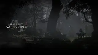 Playing Black Myth Wukong (1440 7800xt Linux Mint)