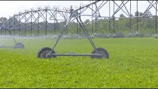 EPD&rsquo;s Proposed Water Plan for Southwest Georgia