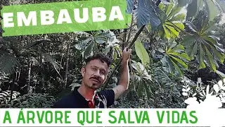 CONHECAM A 