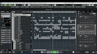Camellia-Flamewall (Midi Copy)
