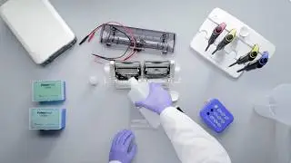 How to Run Protein Gel | Invitrogen Precast SDS-PAGE Guide