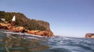 Snorkeling at the knysna heads .