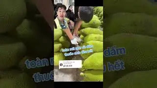 Tin tức mỗi ng&agrave;y #dongykieuphong #xuhuongreels #songkhoe247 #MrPhong #suckhoe #MrPhong