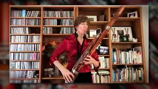 DUAL IDENTITY for solo bassoon