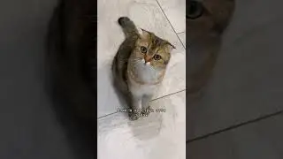 Когда кожаная долго спит