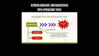 Использование ампициллина при брюшном тифе #ампициллин #брюшнойтиф #тиф #антибиотик