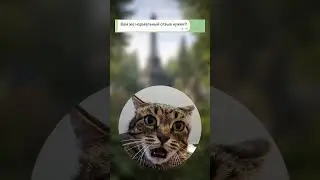 Я в Пориже паела краусан 😂 P.S. Помогаем удалить несправедливые отзывы, пишите 📨
